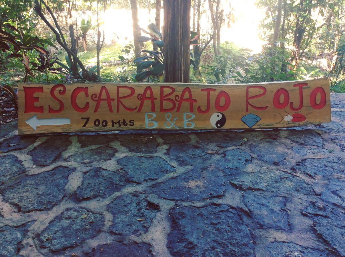 Bed and Breakfast Escarabajo Rojo Tulum Exterior foto
